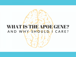 what does apoe do