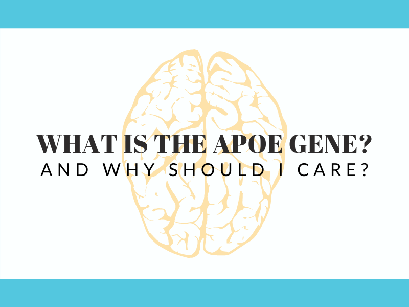 what does apoe do