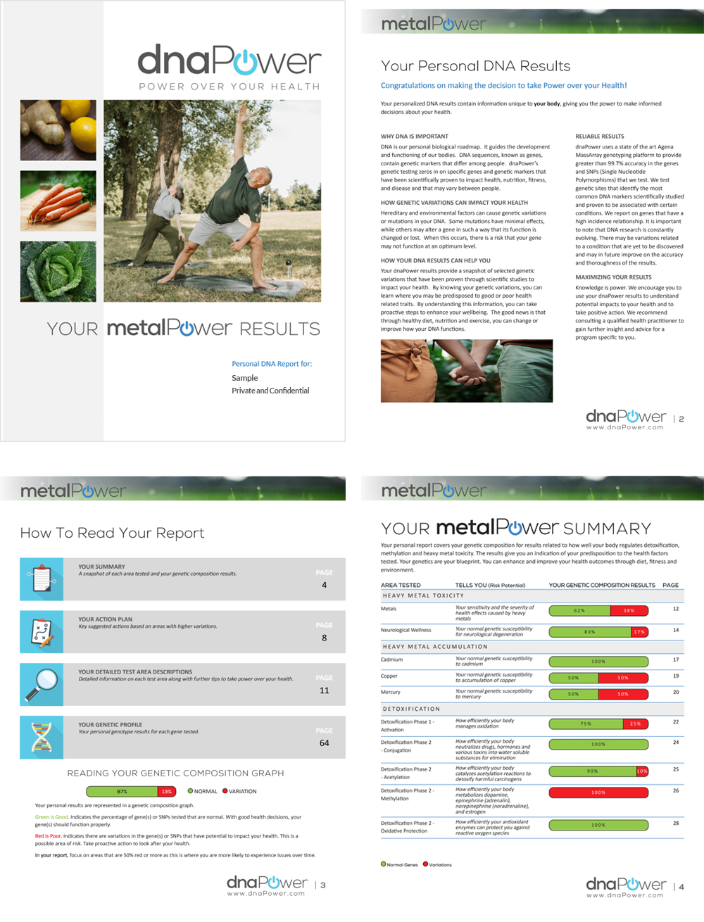 metalPower summary sample Report